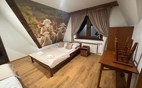 Pensjonat U Zosi